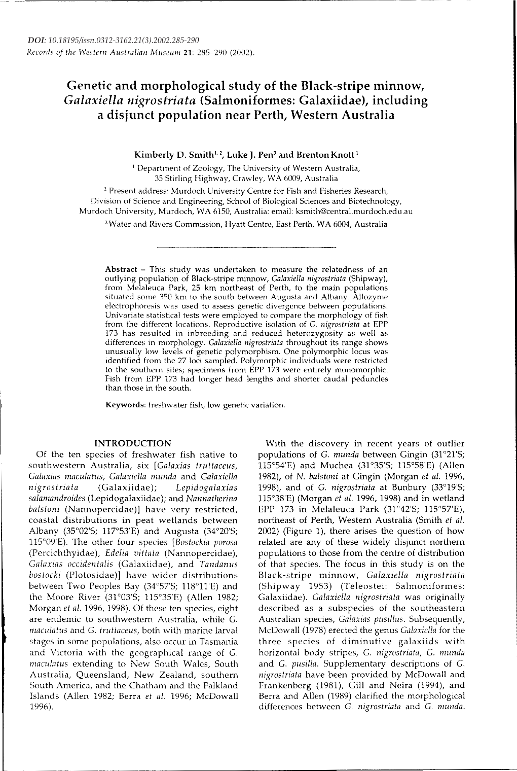 Genetic and Morphological Study of the Black-Stripe Minnow, Galaxiella