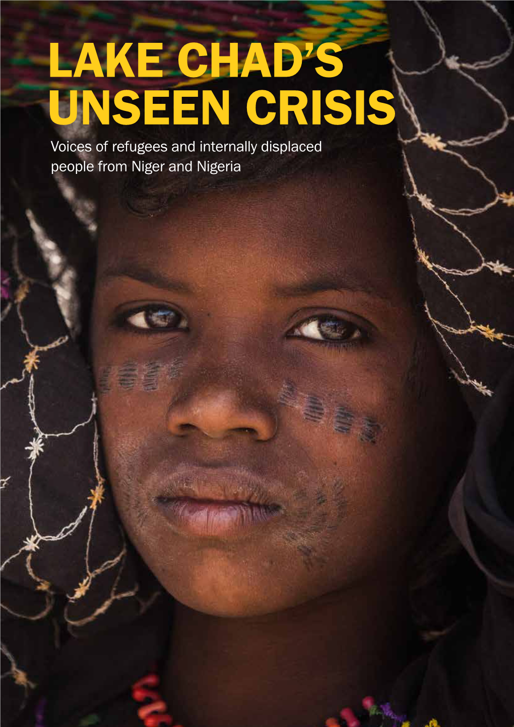 Lake Chad's Unseen Crisis