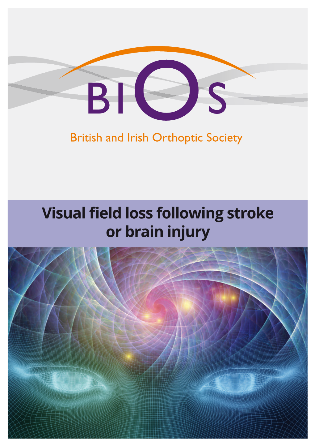 Visual Field Loss Following Stroke Or Brain Injury