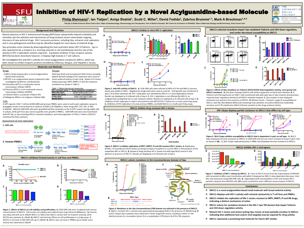 Inhibition of HIV-1 Replication by a Novel Acylguanidine-Based Molecule