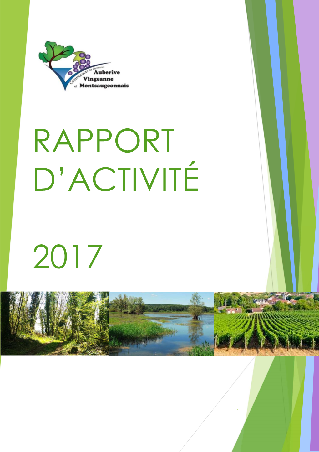 Rapport D'activité 2017