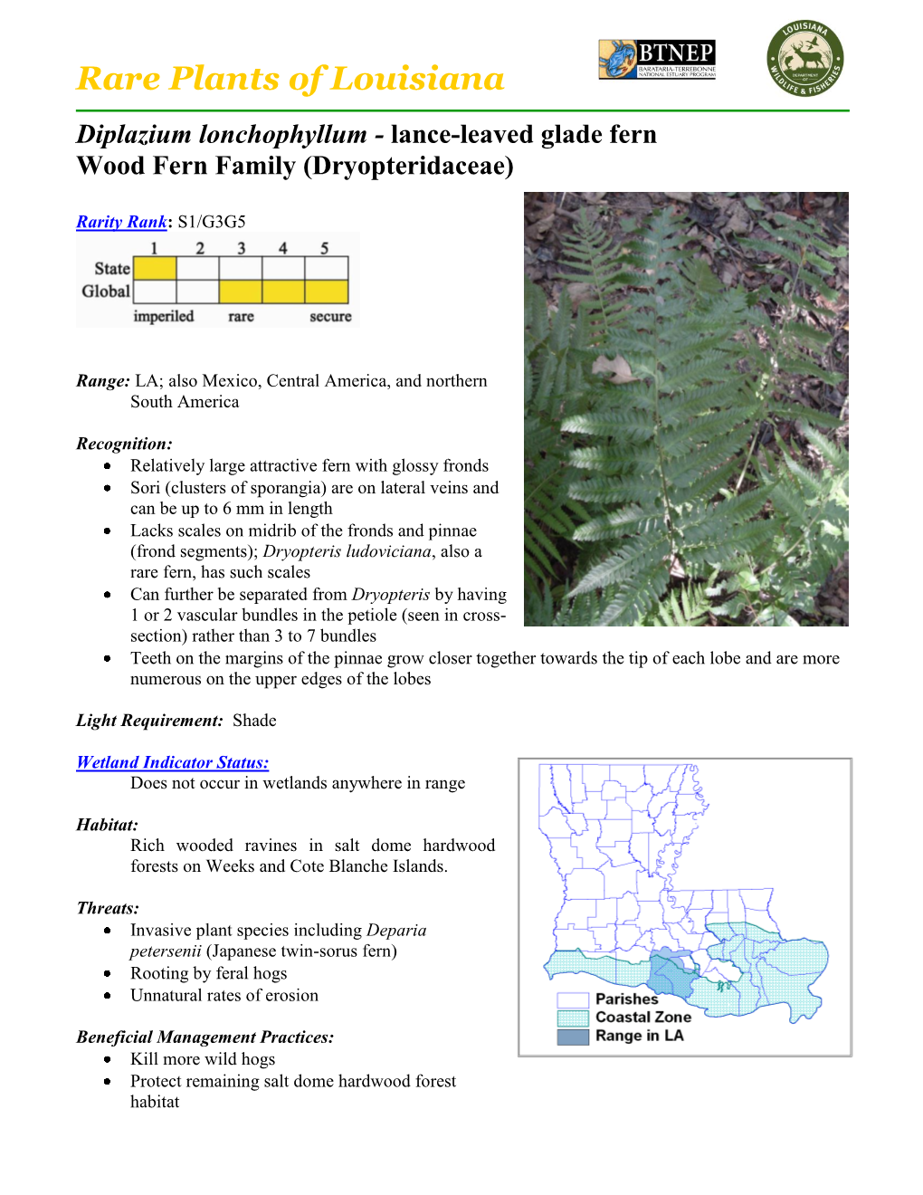 Rare Plants of Louisiana