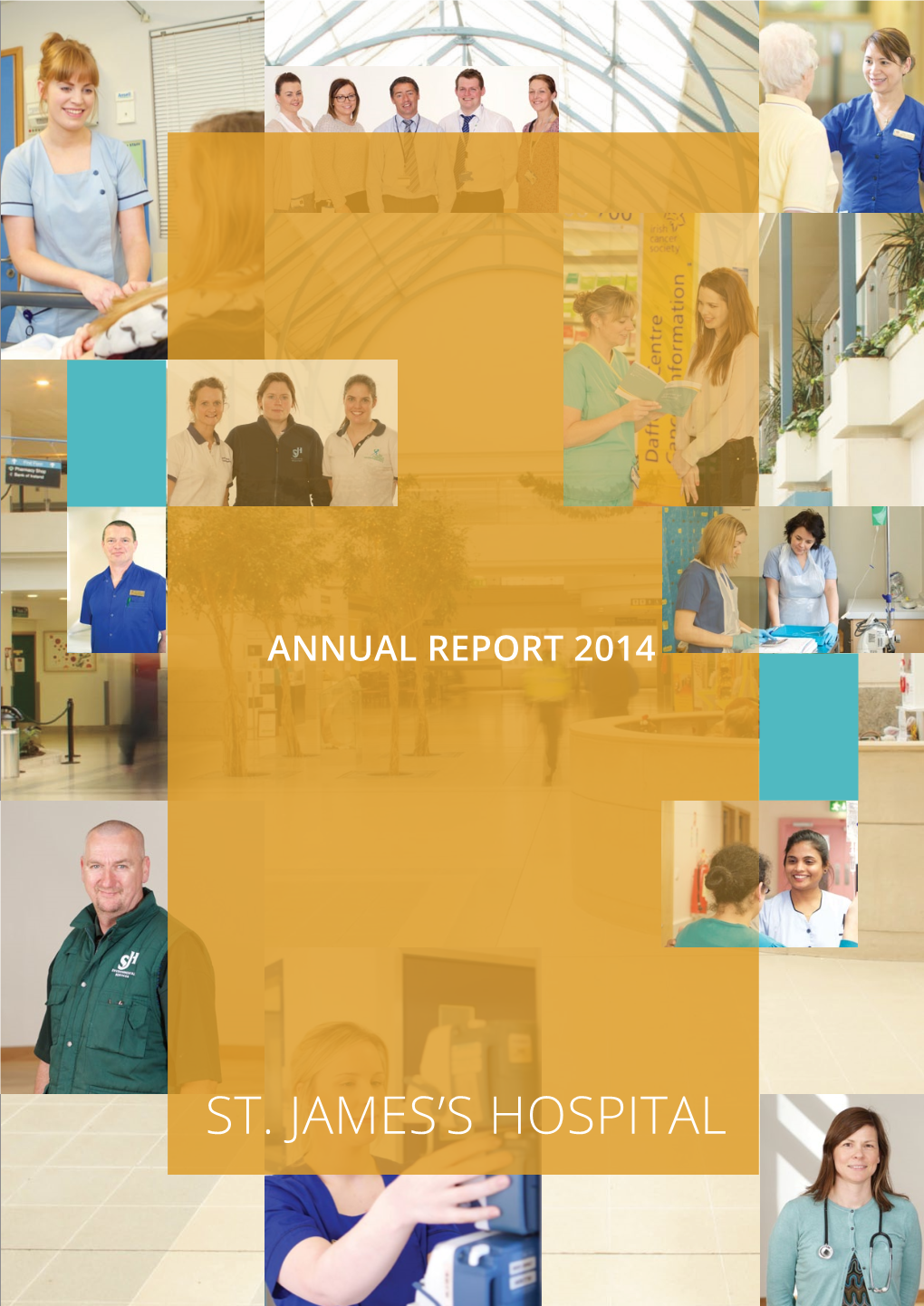 SJH Annual Report 2014