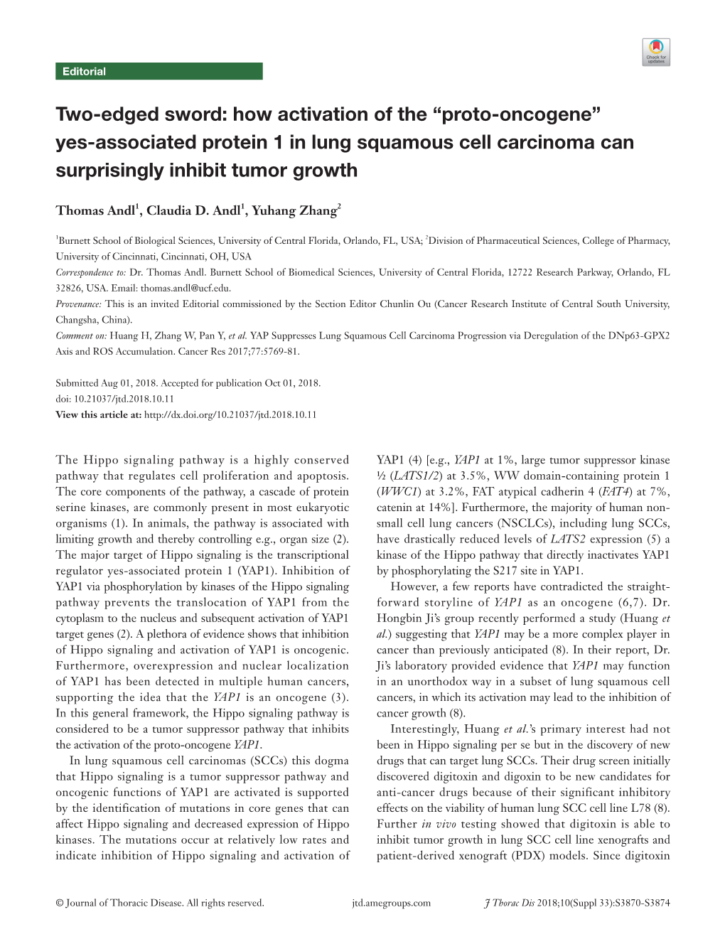 How Activation of the “Proto-Oncogene” Yes-Associated Protein 1 in Lung Squamous Cell Carcinoma Can Surprisingly Inhibit Tumor Growth