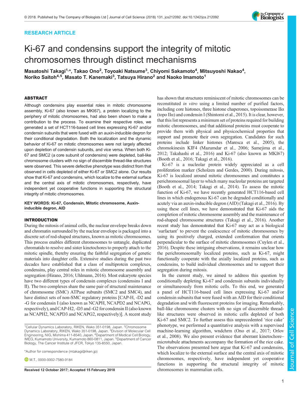 Ki-67 and Condensins Support the Integrity of Mitotic Chromosomes