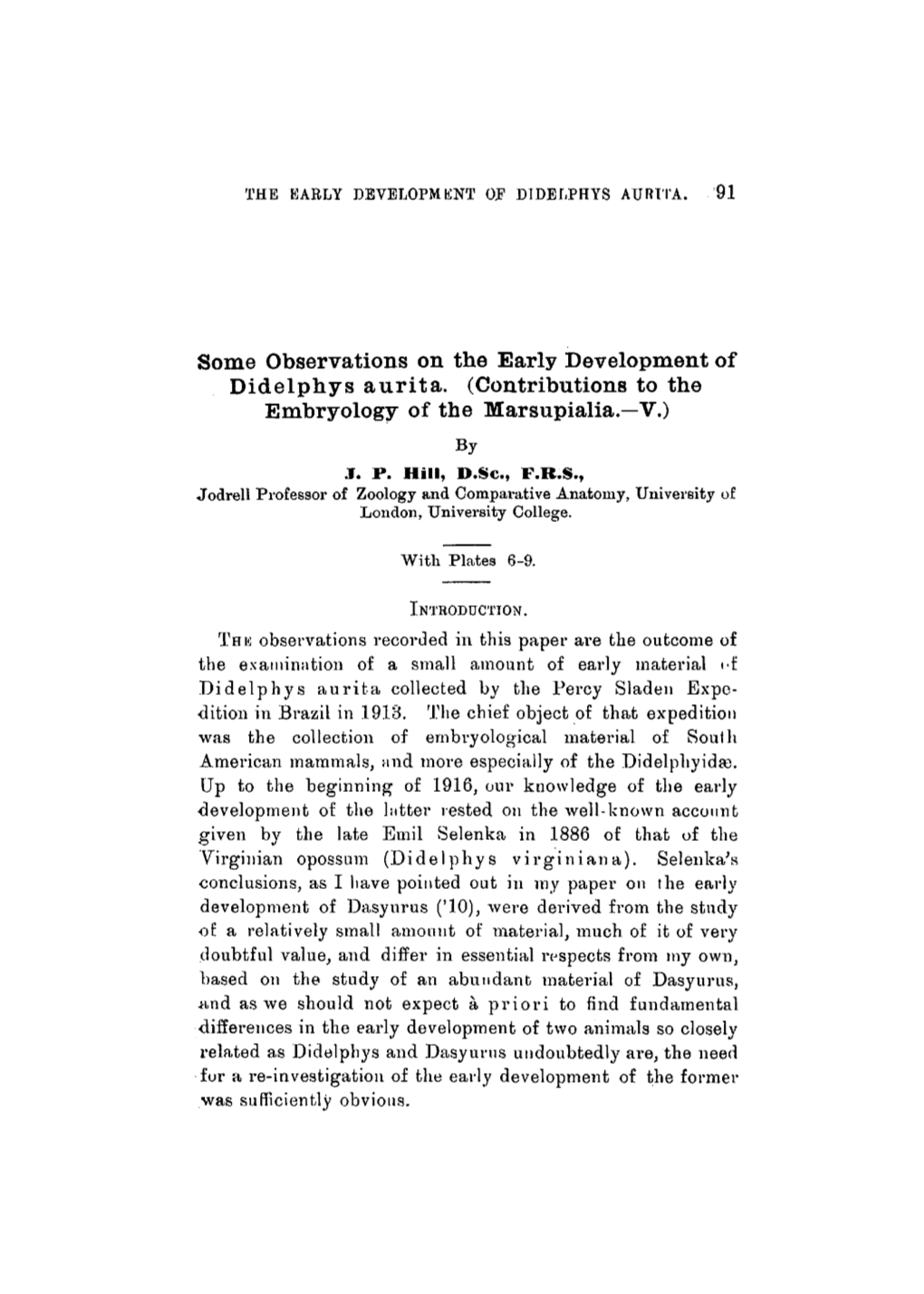 Some Observations on the Early Development of Didelphys Aurita