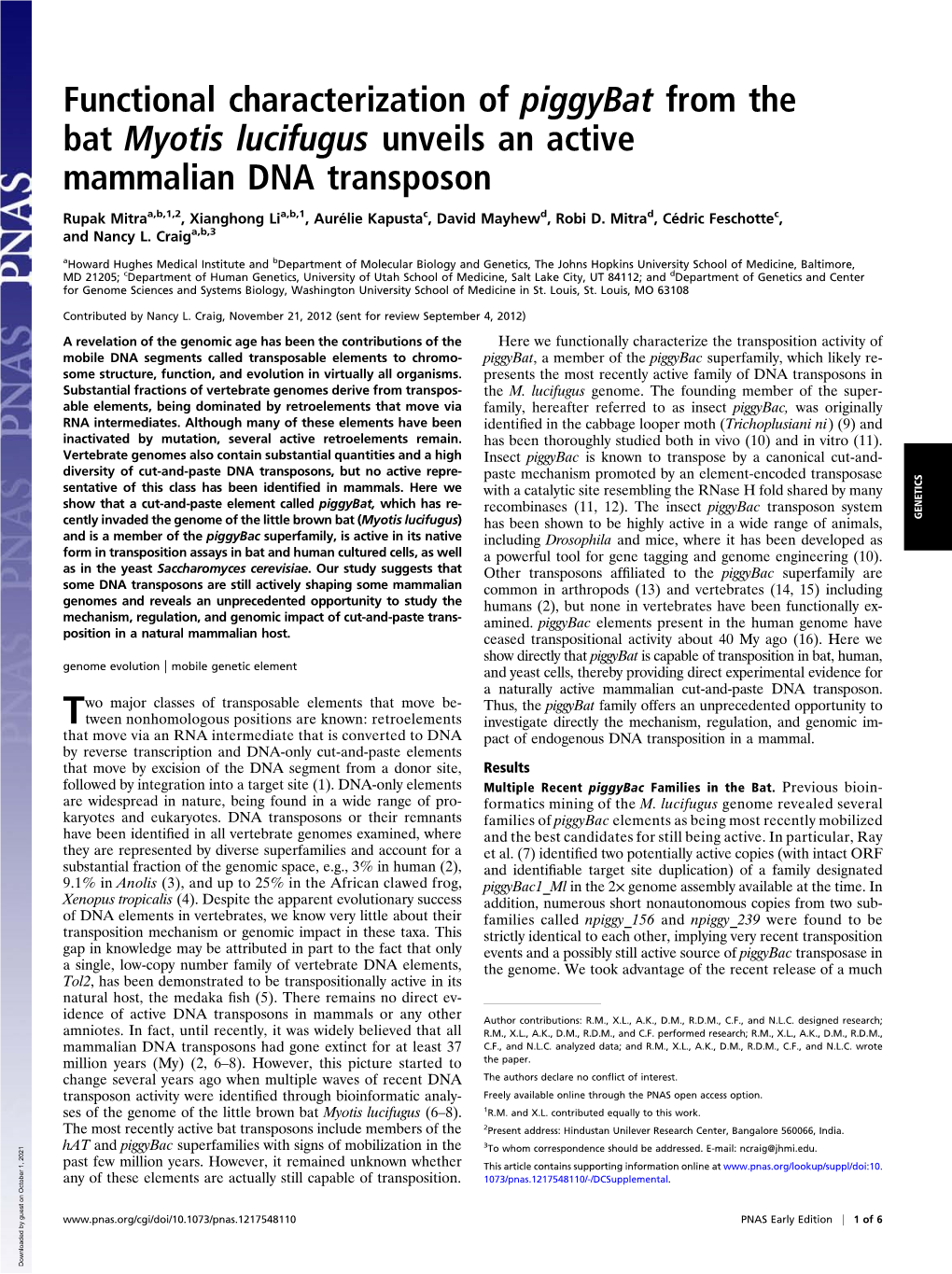 Functional Characterization of Piggybat from the Bat Myotis Lucifugus Unveils an Active Mammalian DNA Transposon