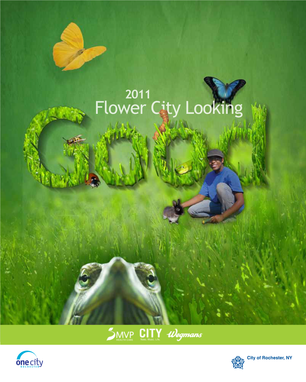 Flower City Looking We Are Wellness