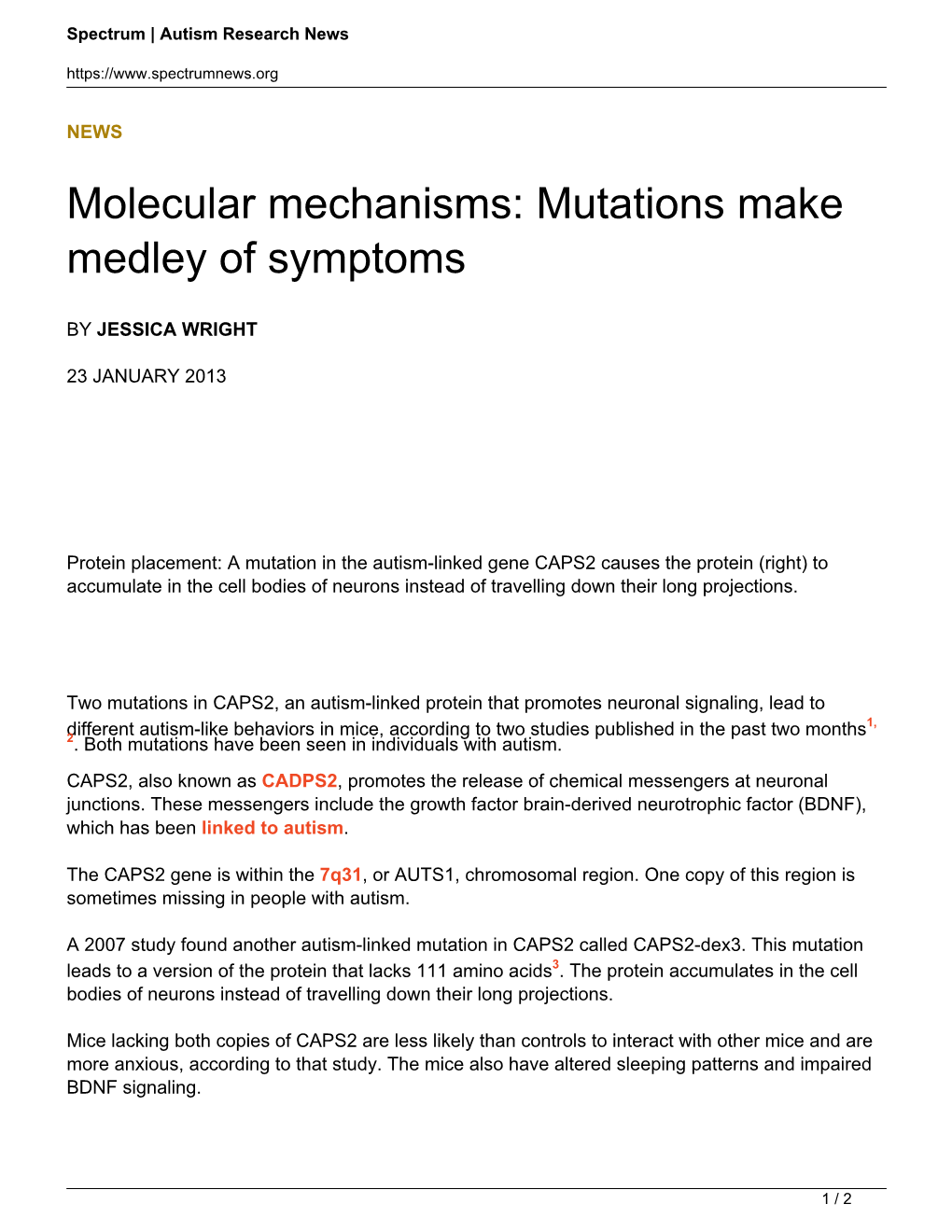 Molecular Mechanisms: Mutations Make Medley of Symptoms