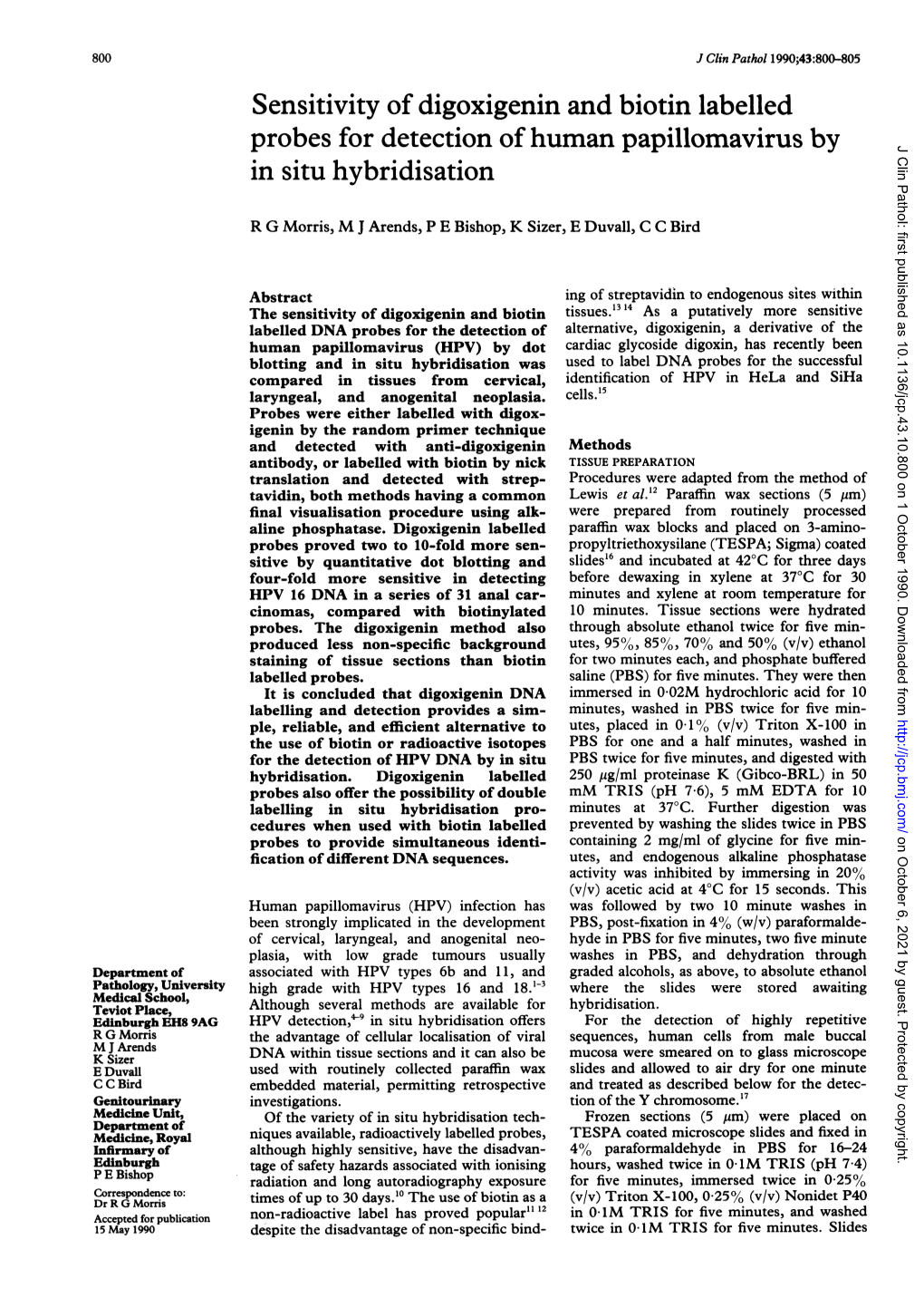 Sensitivity of Digoxigenin and Biotin Labelled