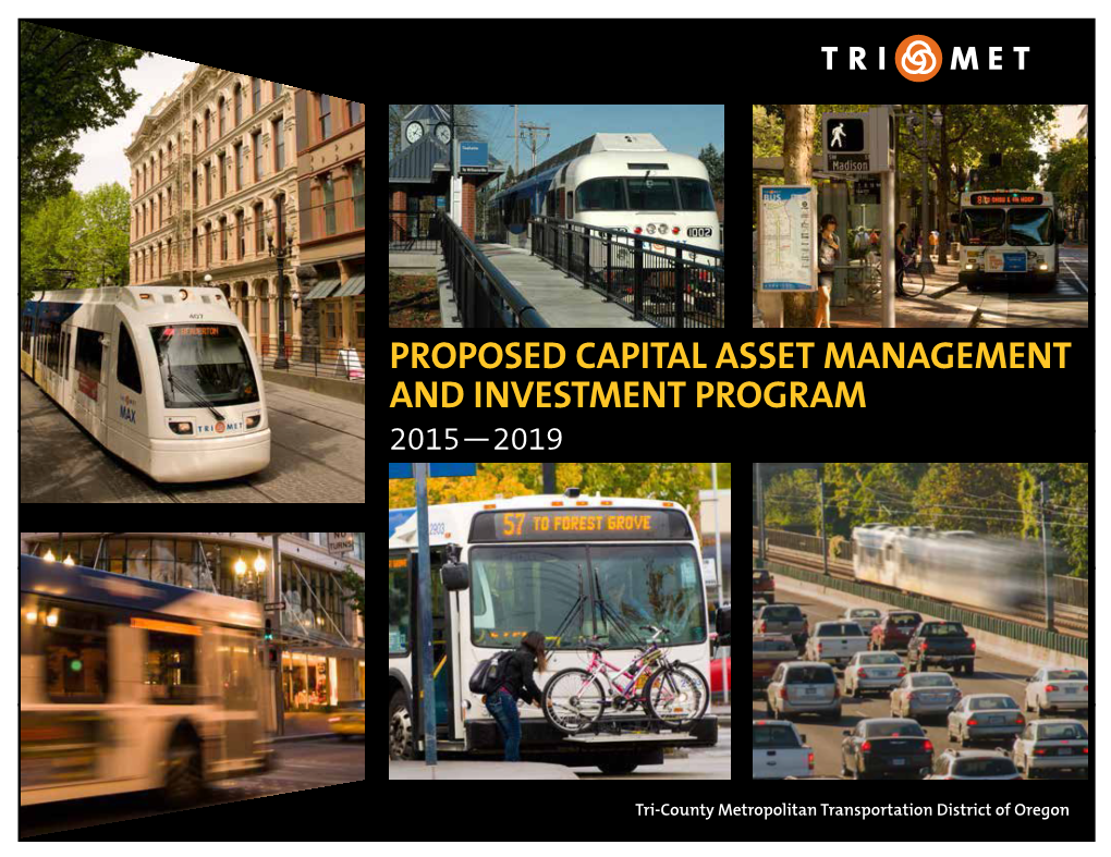 Proposed Capital Asset Management and Investment Program 2015—2019
