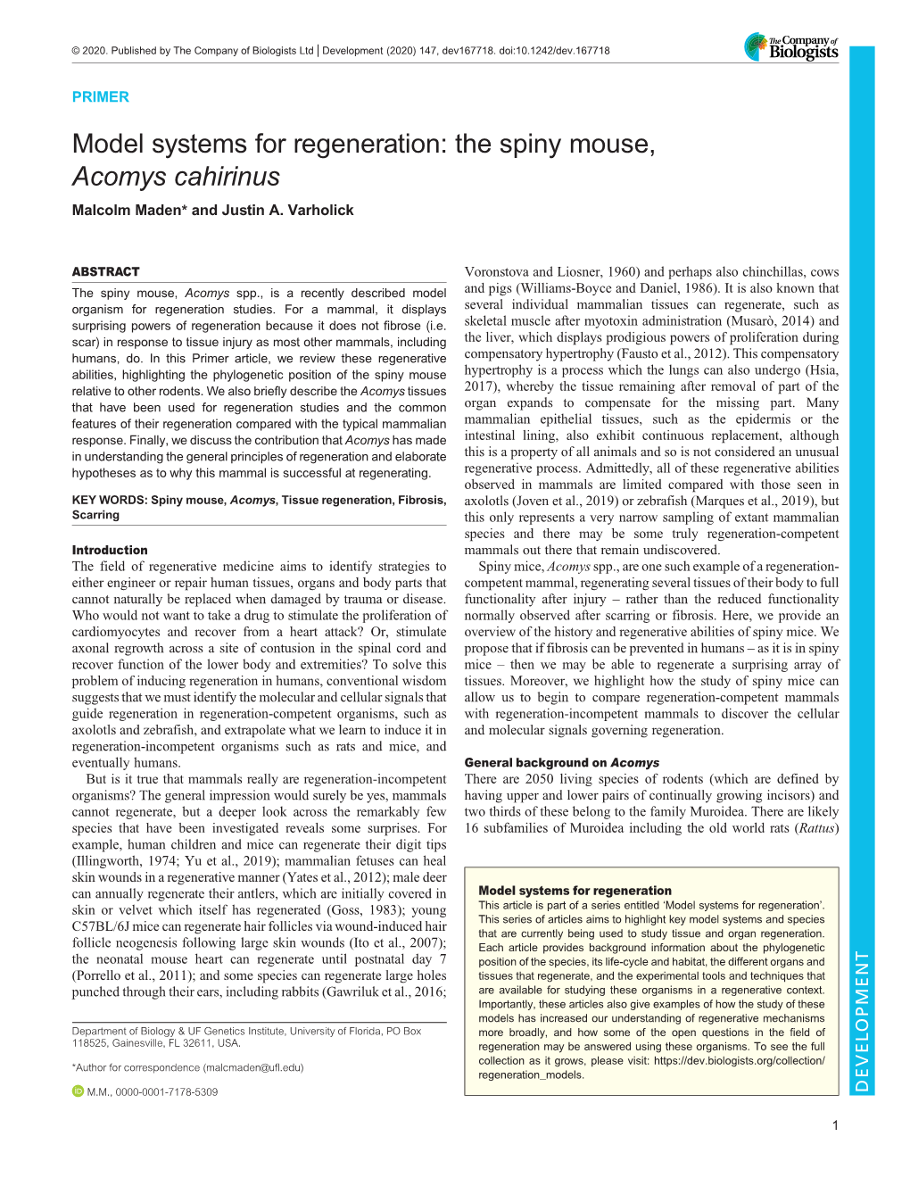 The Spiny Mouse, Acomys Cahirinus Malcolm Maden* and Justin A