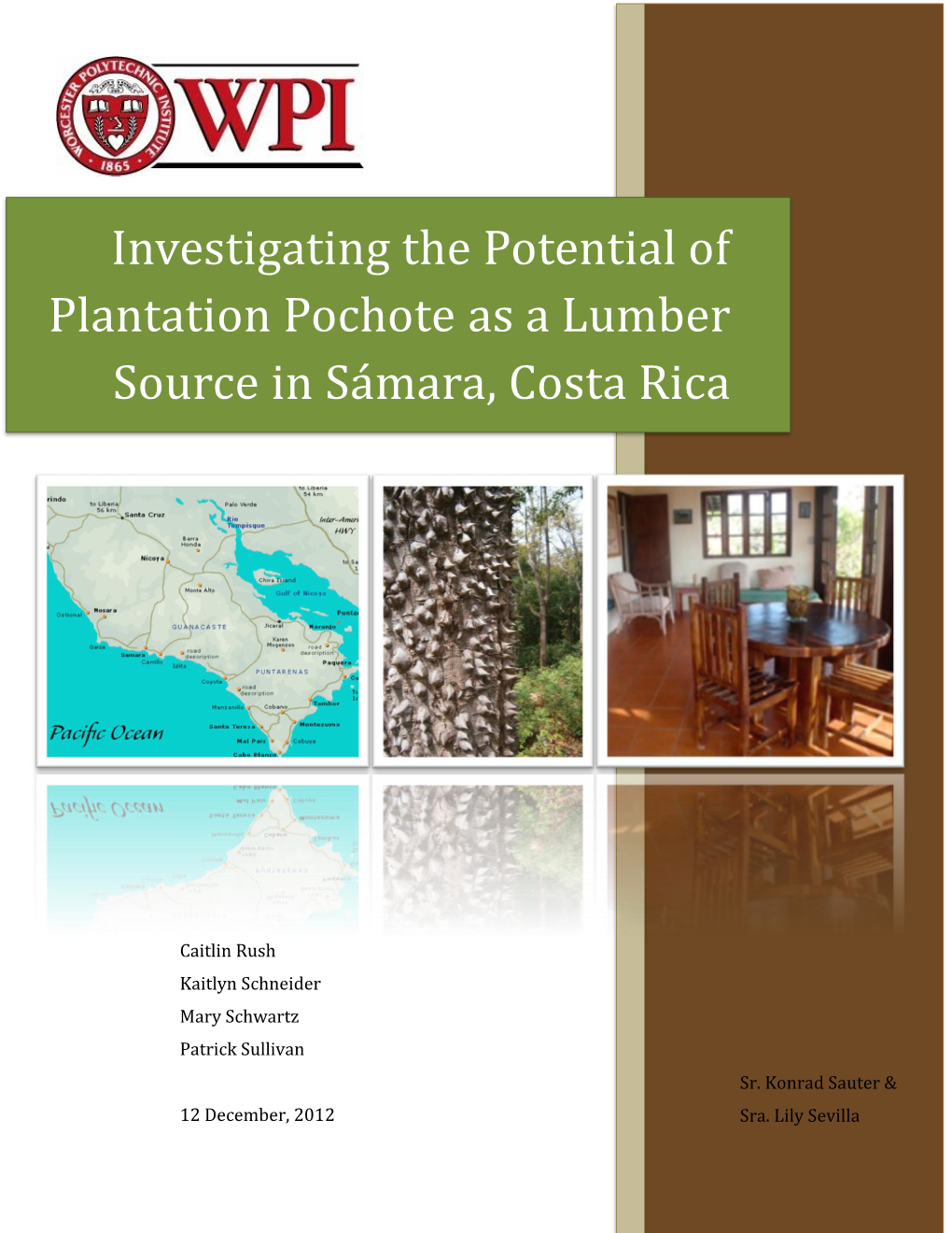 Investigating the Potential of Plantation Pochote As a Lumber
