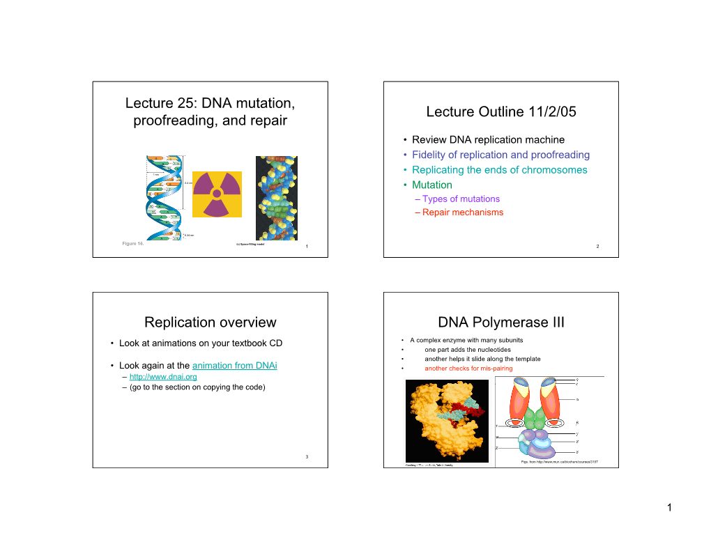 Lecture 25: DNA Mutation, Proofreading, and Repair