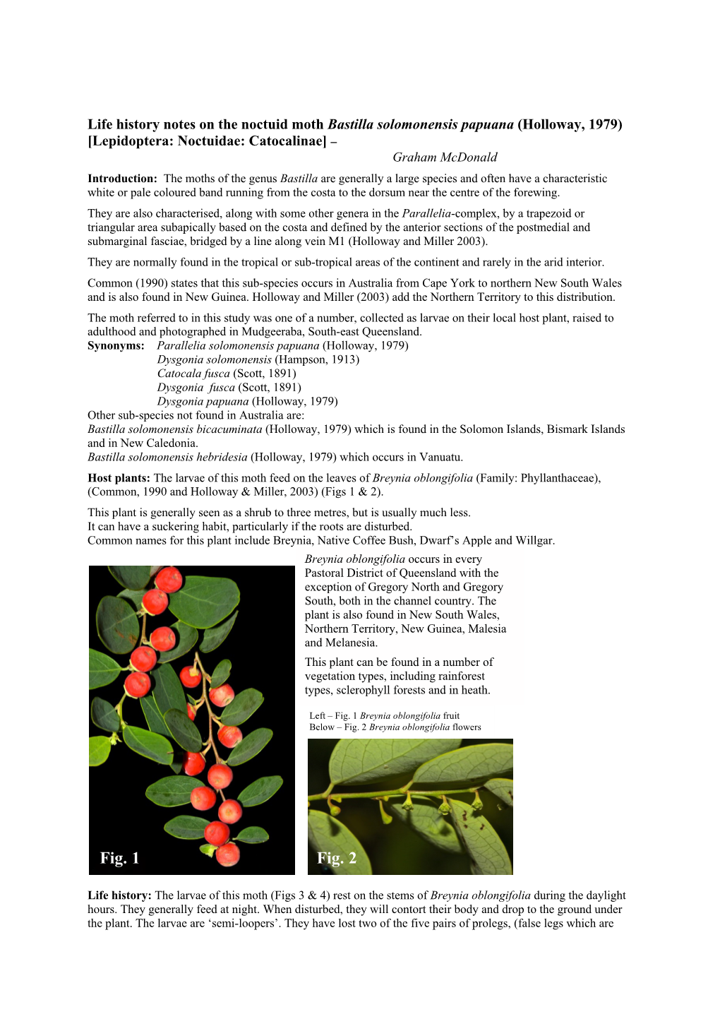 Life History Notes on the Noctuid Moth Bastilla , Solomonensis Papuana
