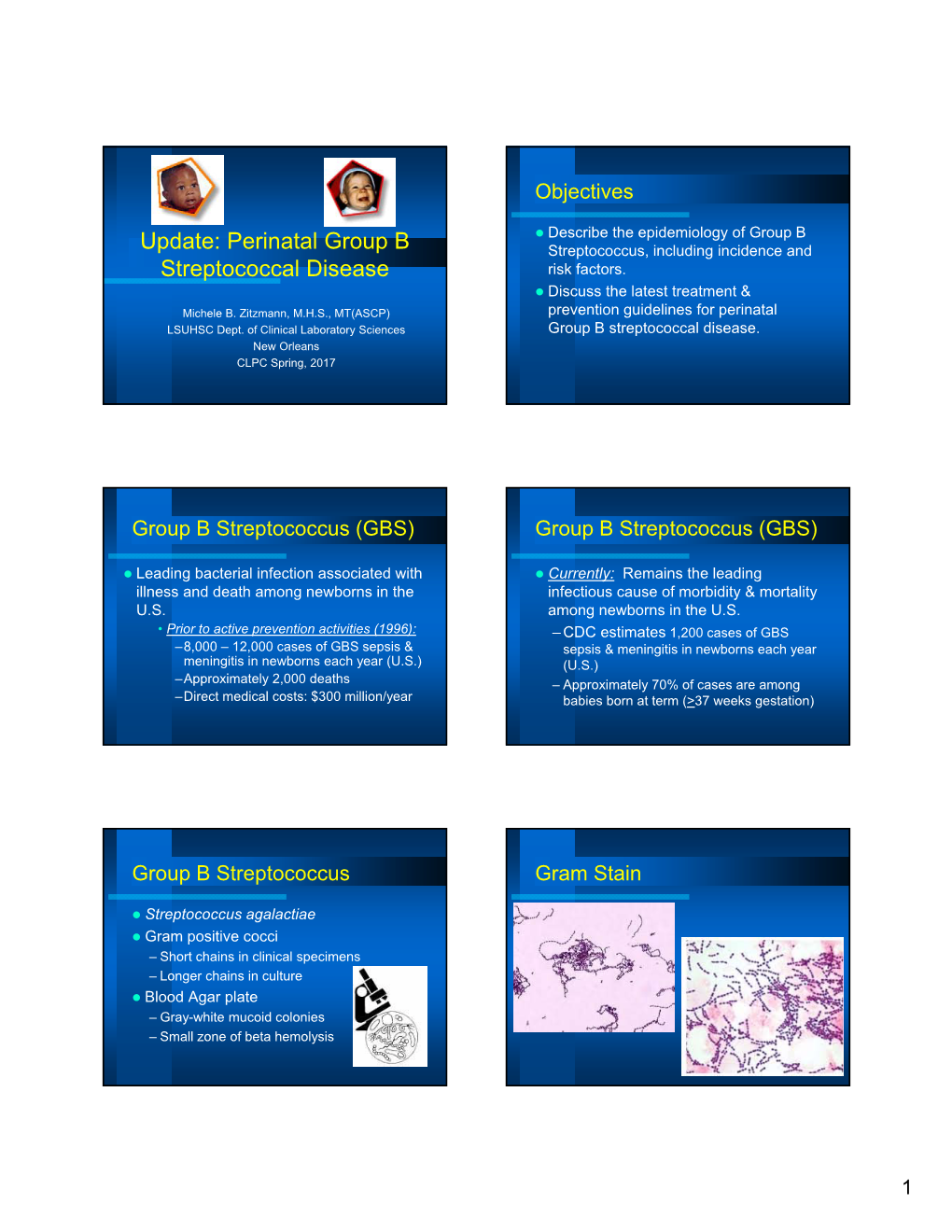 Perinatal Group B Streptococcal Disease