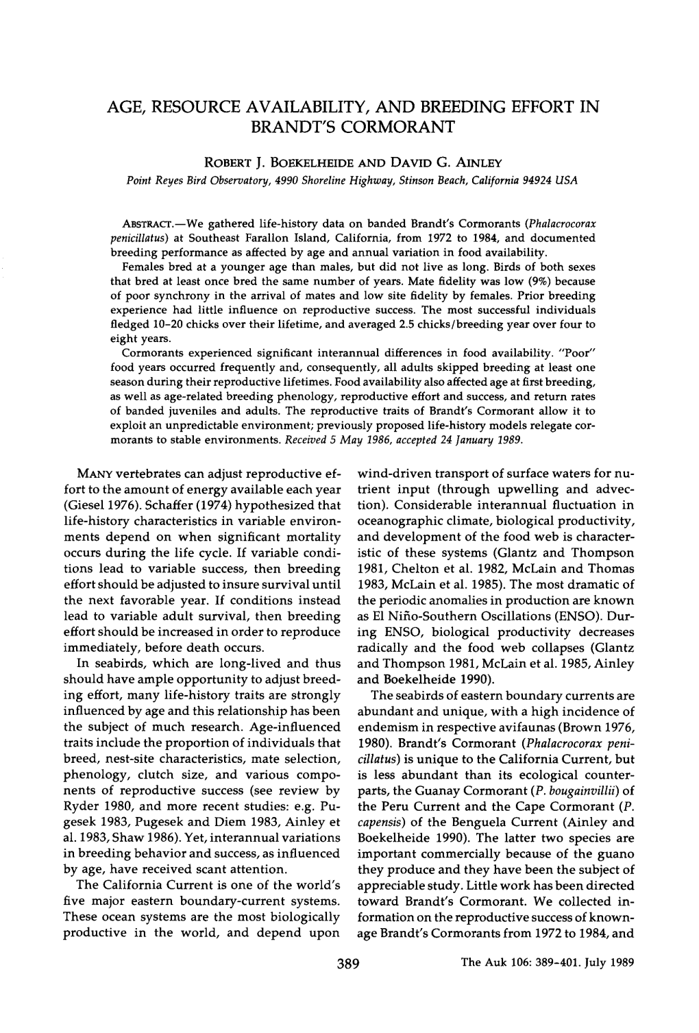 Age, Resource Availability, and Breeding Effort in Brandt's Cormorant