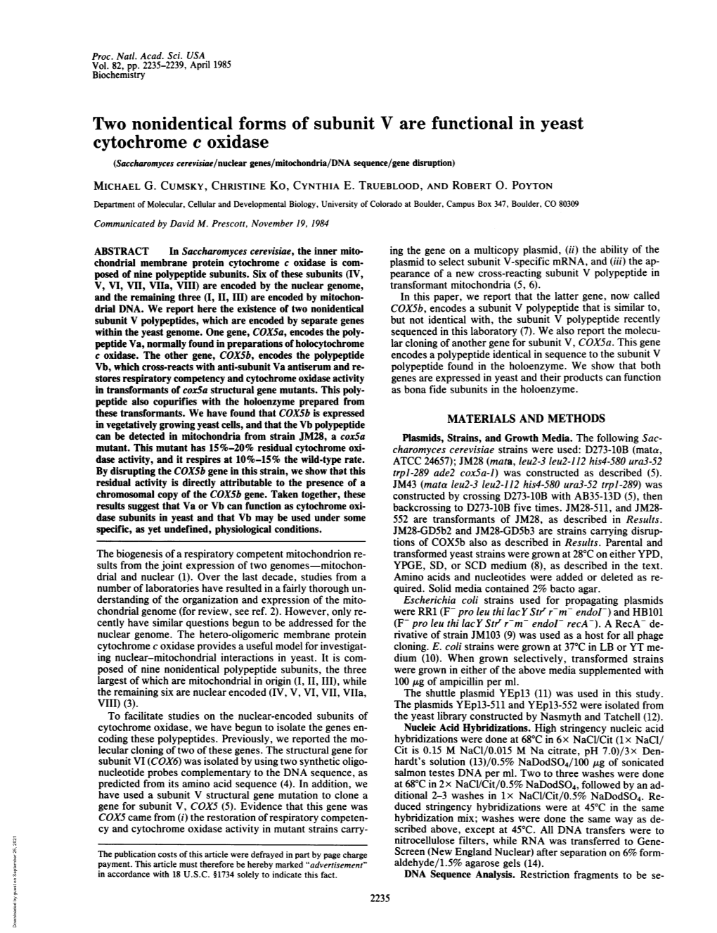 Two Nonidentical Forms of Subunit V Are Functional in Yeast