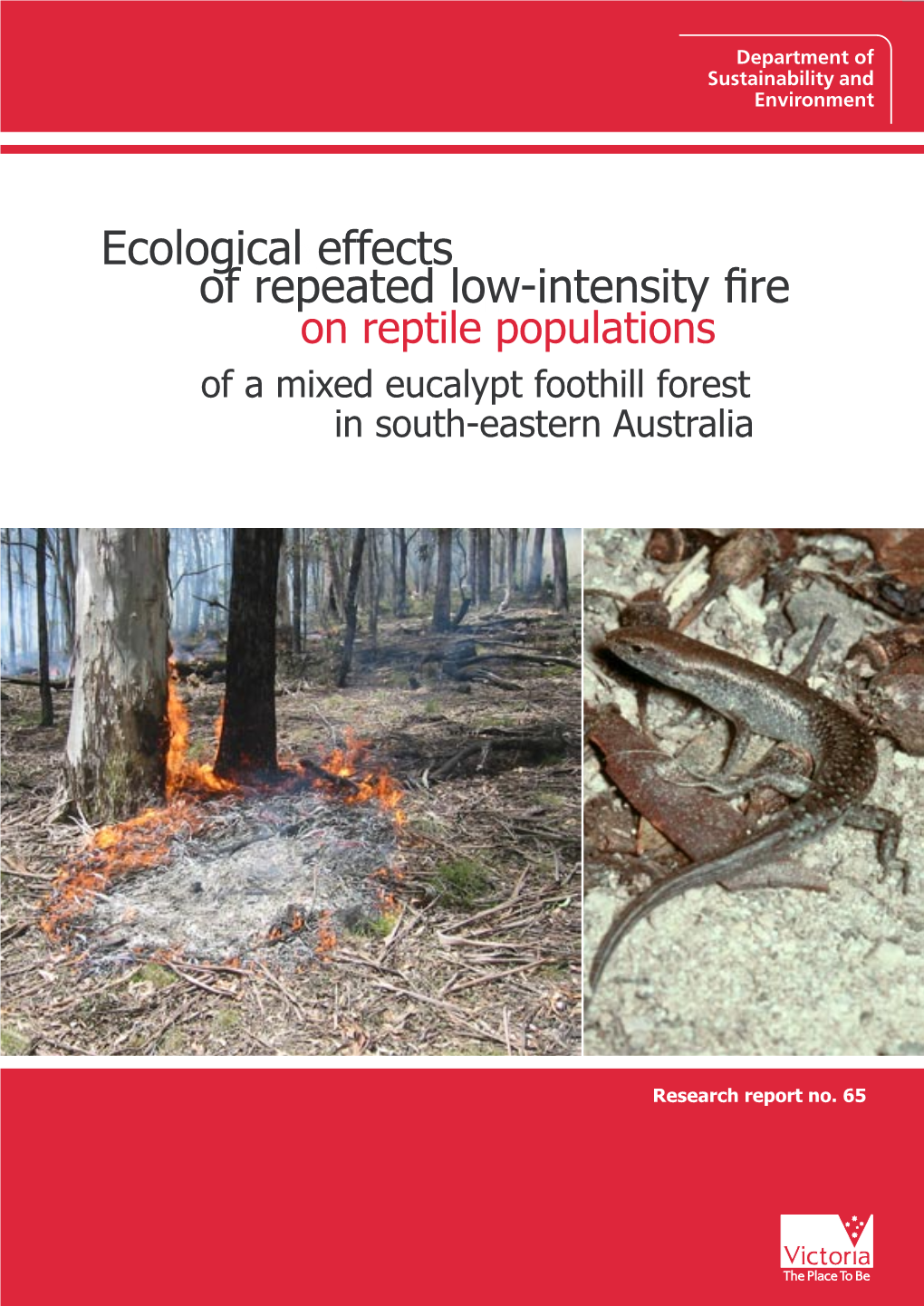 Effects of Repeated Low-Intensity Fire on Reptile Populations of a Mixed Eucalypt Foothill Forest in South-Eastern Australia