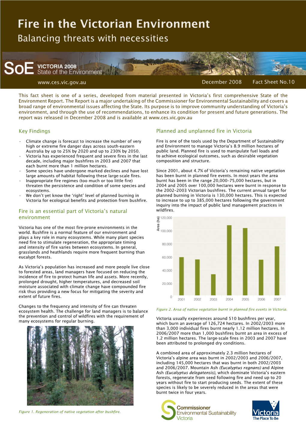 Fire in the Victorian Environment Balancing Threats with Necessities