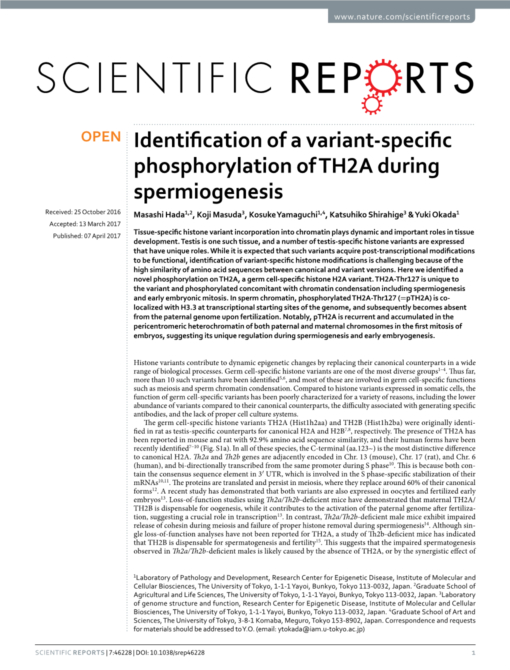 Identification of a Variant-Specific Phosphorylation of TH2A During