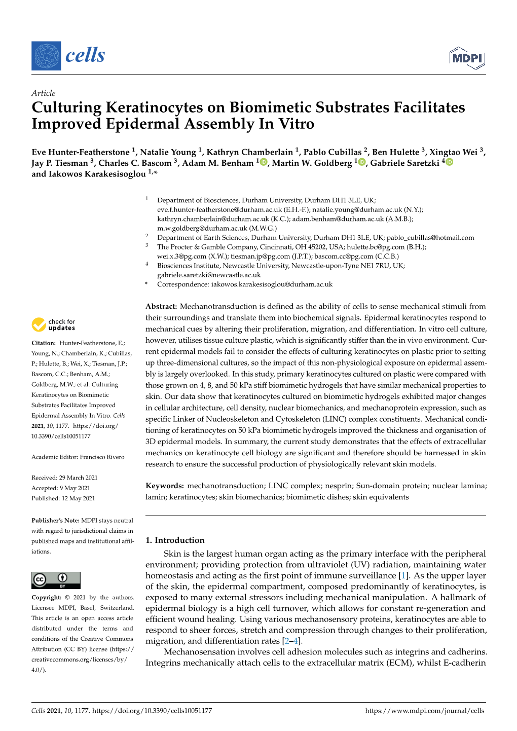 Culturing Keratinocytes on Biomimetic Substrates Facilitates Improved Epidermal Assembly in Vitro