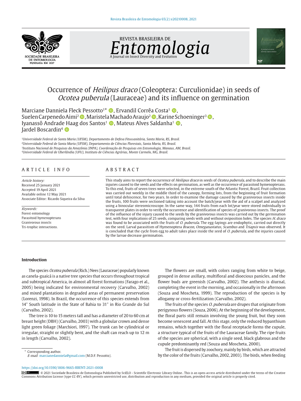 Occurrence of Heilipus Draco (Coleoptera: Curculionidae) in Seeds of Ocotea Puberula (Lauraceae) and Its Influence on Germination