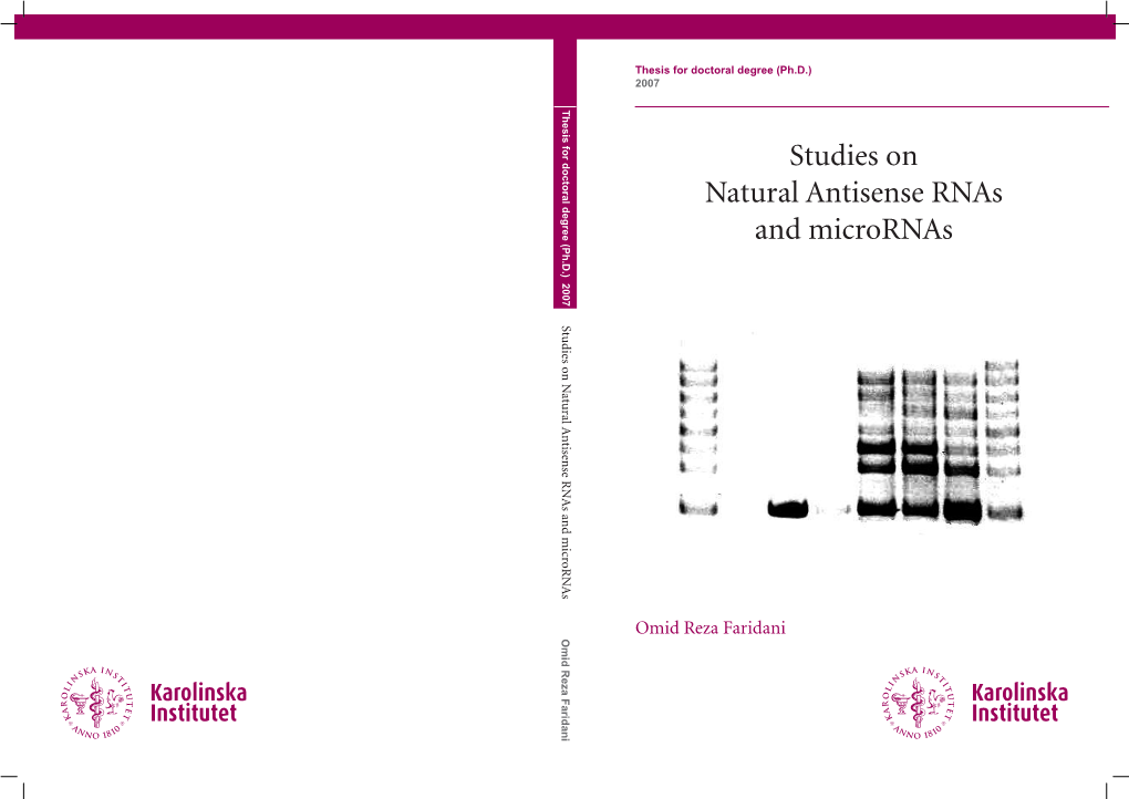 Studies on Natural Antisense Rnas and Micrornas Studies on Natural Antisense Rnas and Micrornas