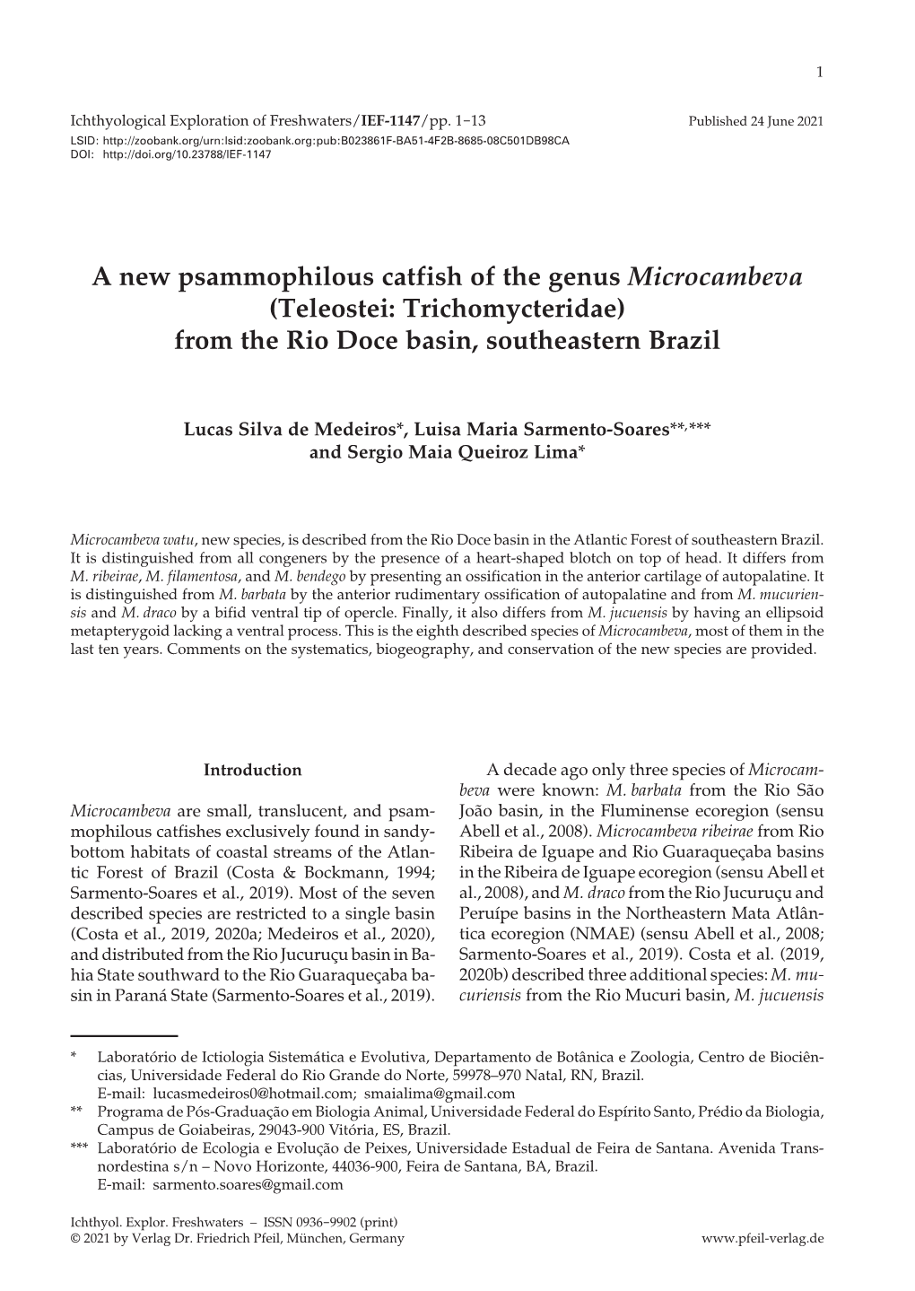 A New Psammophilous Catfish of the Genus Microcambeva (Teleostei: Trichomycteridae) from the Rio Doce Basin, Southeastern Brazil