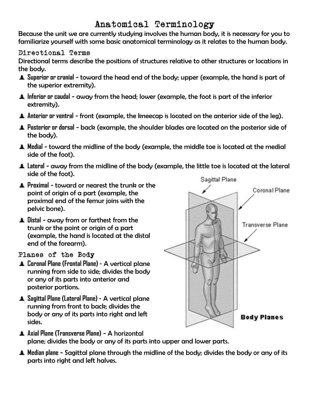 Anatomical Terminology