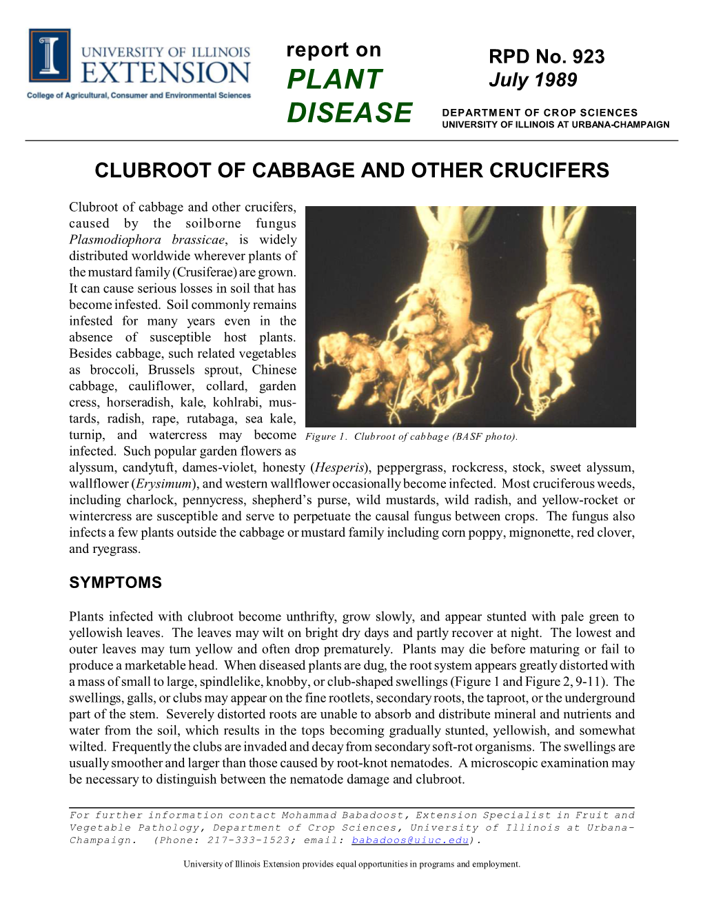 Clubroot of Cabbage and Other Crucifers