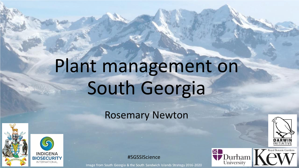 Plant Management on South Georgia Rosemary Newton