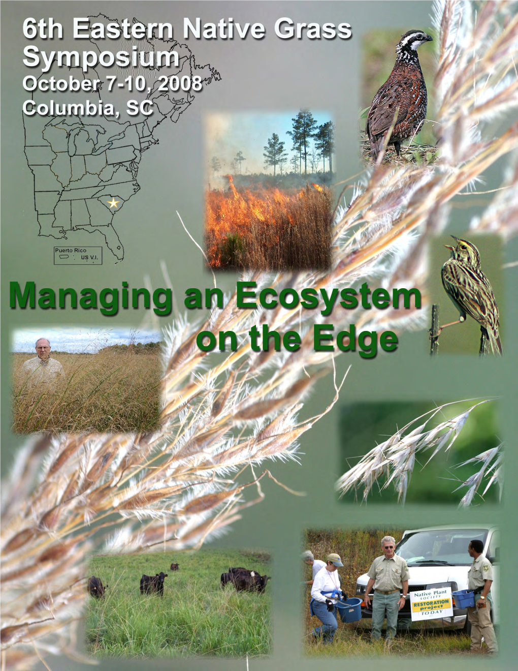 Proceedings of the Sixth Eastern Native Grass Symposium