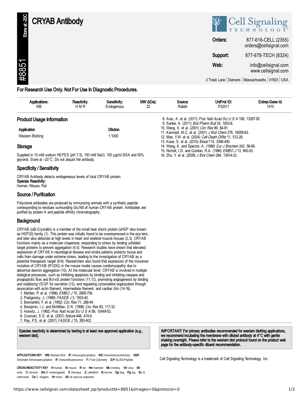 CRYAB Antibody A