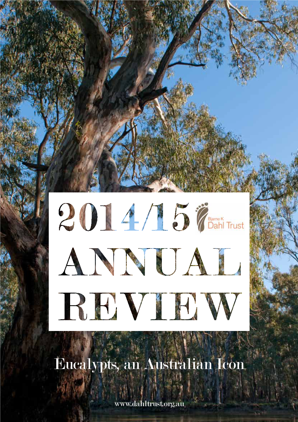 2014/15 Annual Review