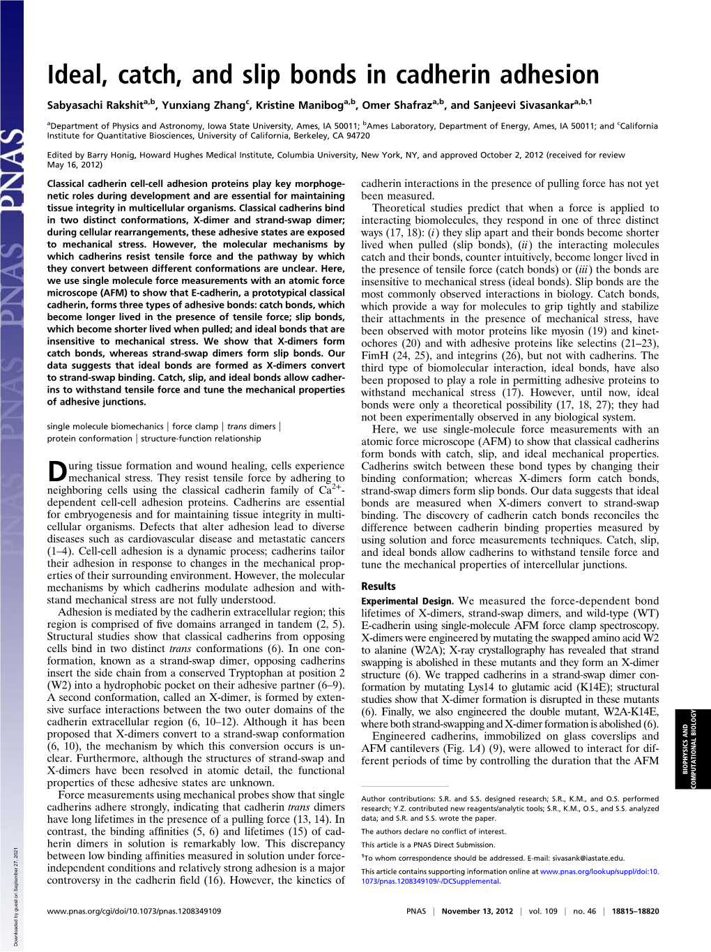 Ideal, Catch, and Slip Bonds in Cadherin Adhesion