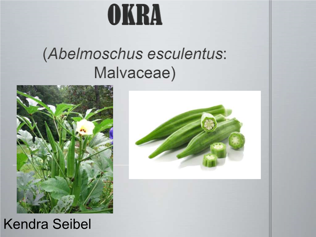 OKRA (Abelmoschus Esculentus: Malvaceae)