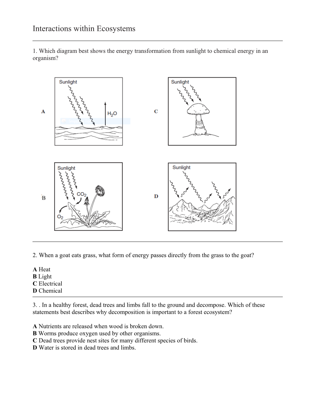 Which Diagram Best Shows the Energy Transformation from Sunlight to Chemical Energy In