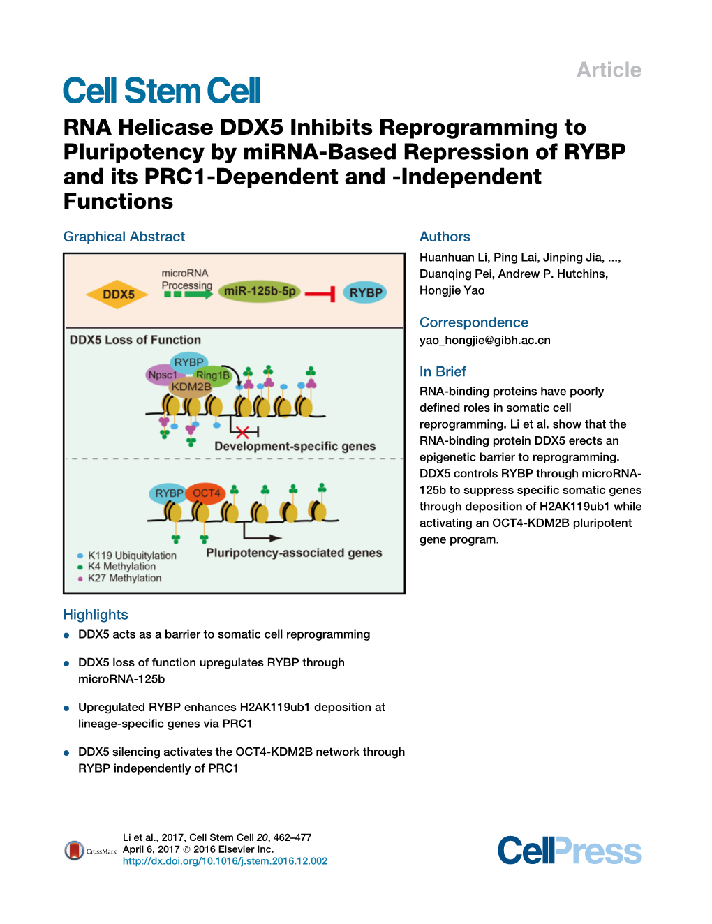 RNA Helicase DDX5 Inhibits Reprogramming to Pluripotency by Mirna-Based Repression of RYBP and Its PRC1-Dependent and -Independent Functions