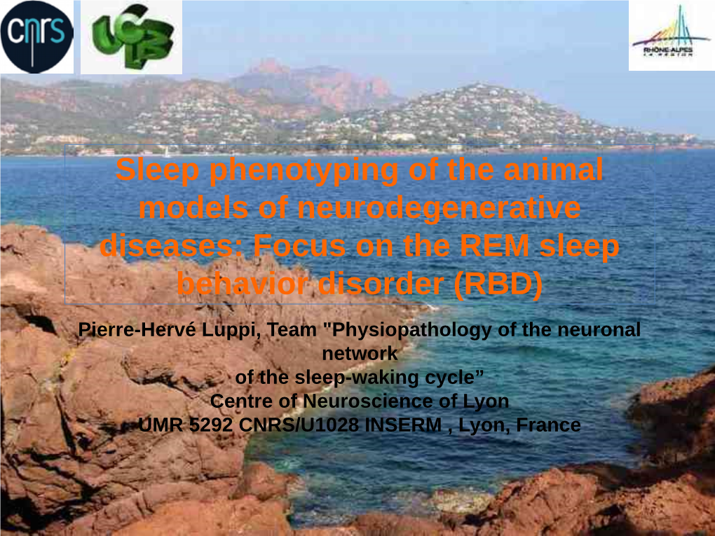 Focus on the REM Sleep Behavior Disorder (RBD)