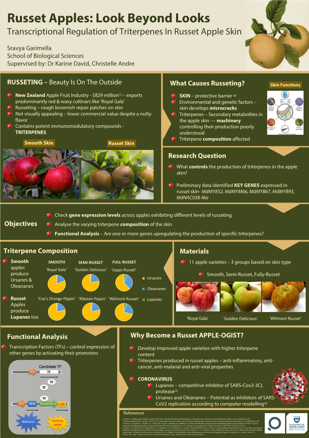 Garimella Sravya Russet Apples