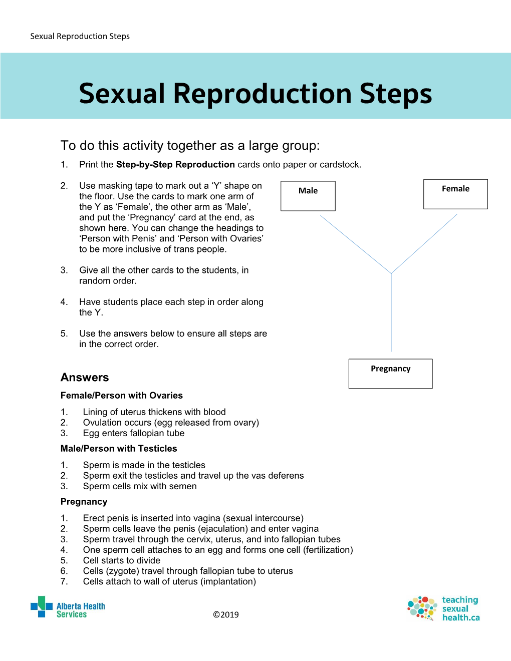 Sexual Reproduction Steps