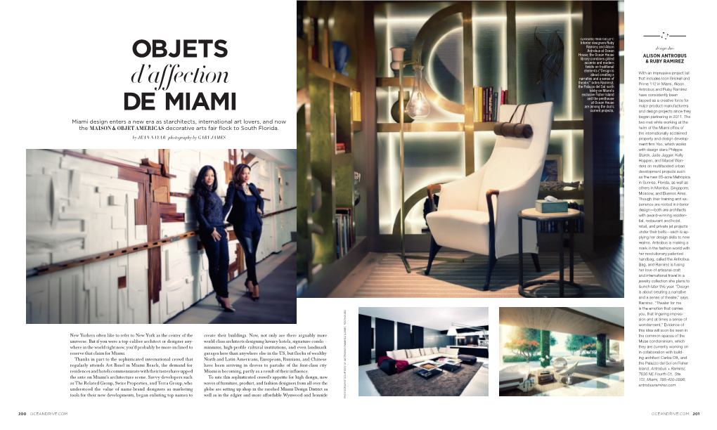 OBJETS D'affection DE MIAMI