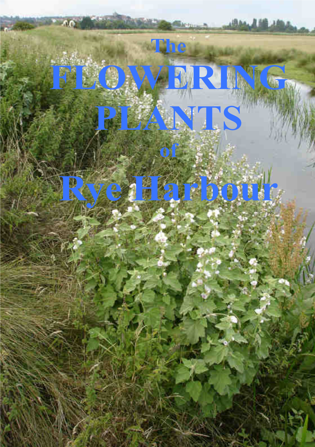 Flowering Plants