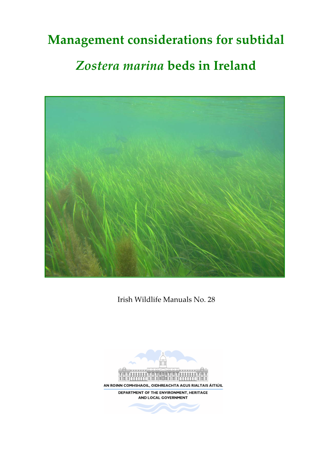 Management Considerations for Subtidal Zostera Marina Beds in Ireland