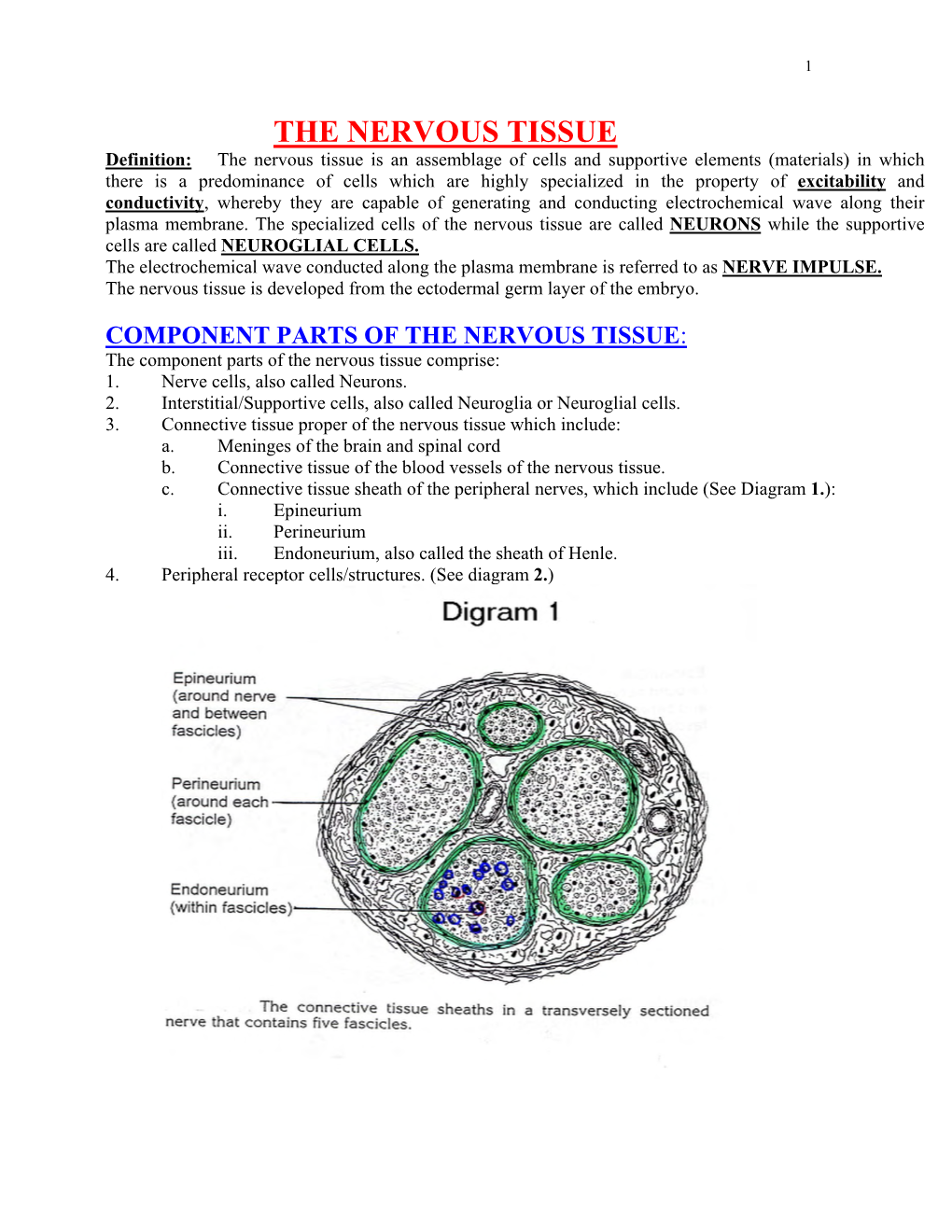 The Nervous Tissue