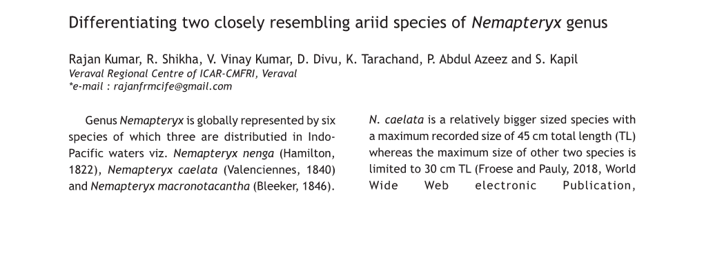 Differentiating Two Closely Resembling Ariid Species of Nemapteryx Genus