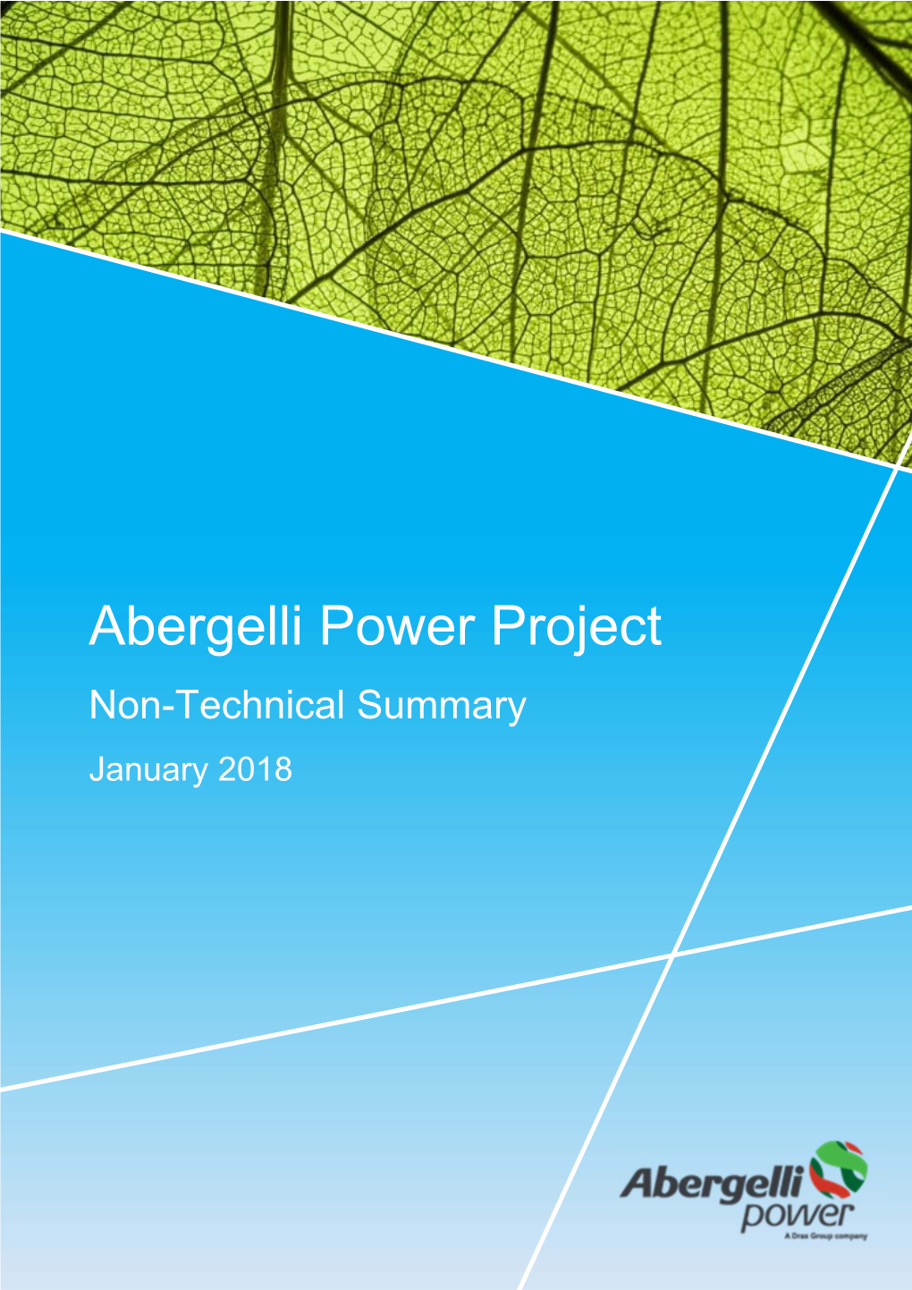 Abergelli Power Project Non-Technical Summary January 2018