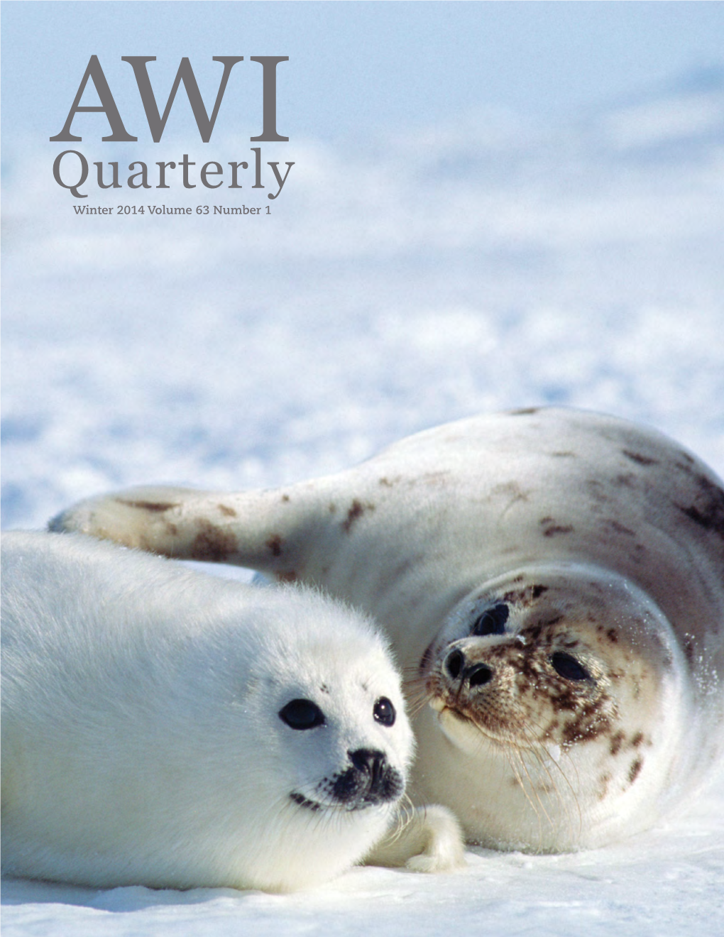 Quarterlyaw I Winter 2014 Volume 63 Number 1 AW I Quarterly ABOUT the COVER a Harp Seal Mother and Pup Haul out on Ice in the Gulf of St Lawrence, Canada