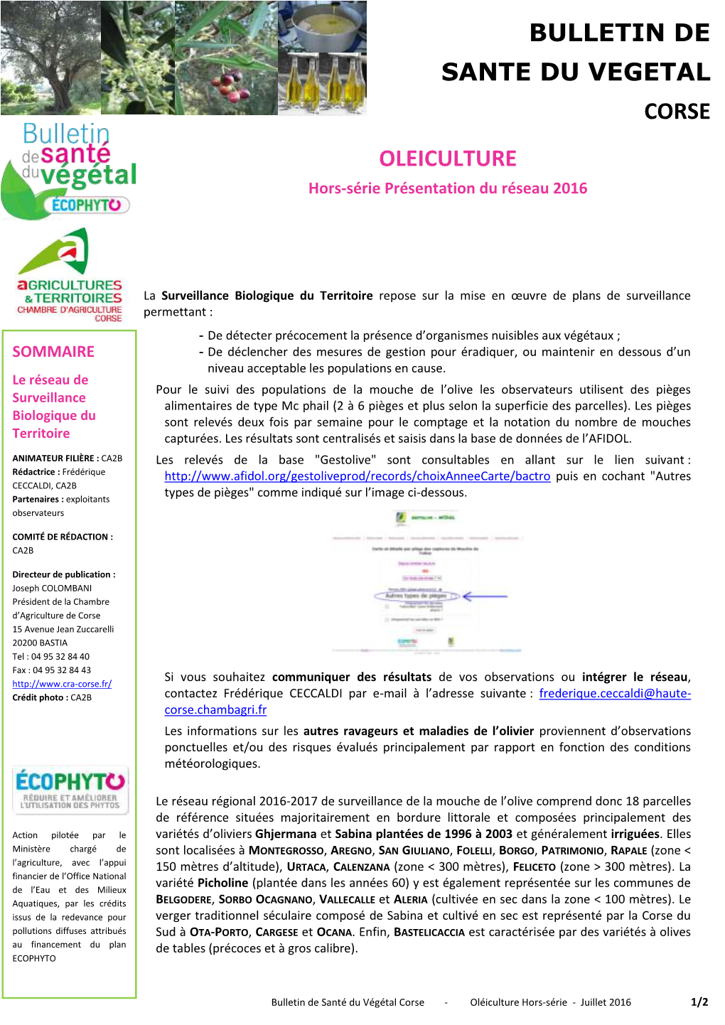 Bulletin De Sante Du Vegetal Corse Oleiculture